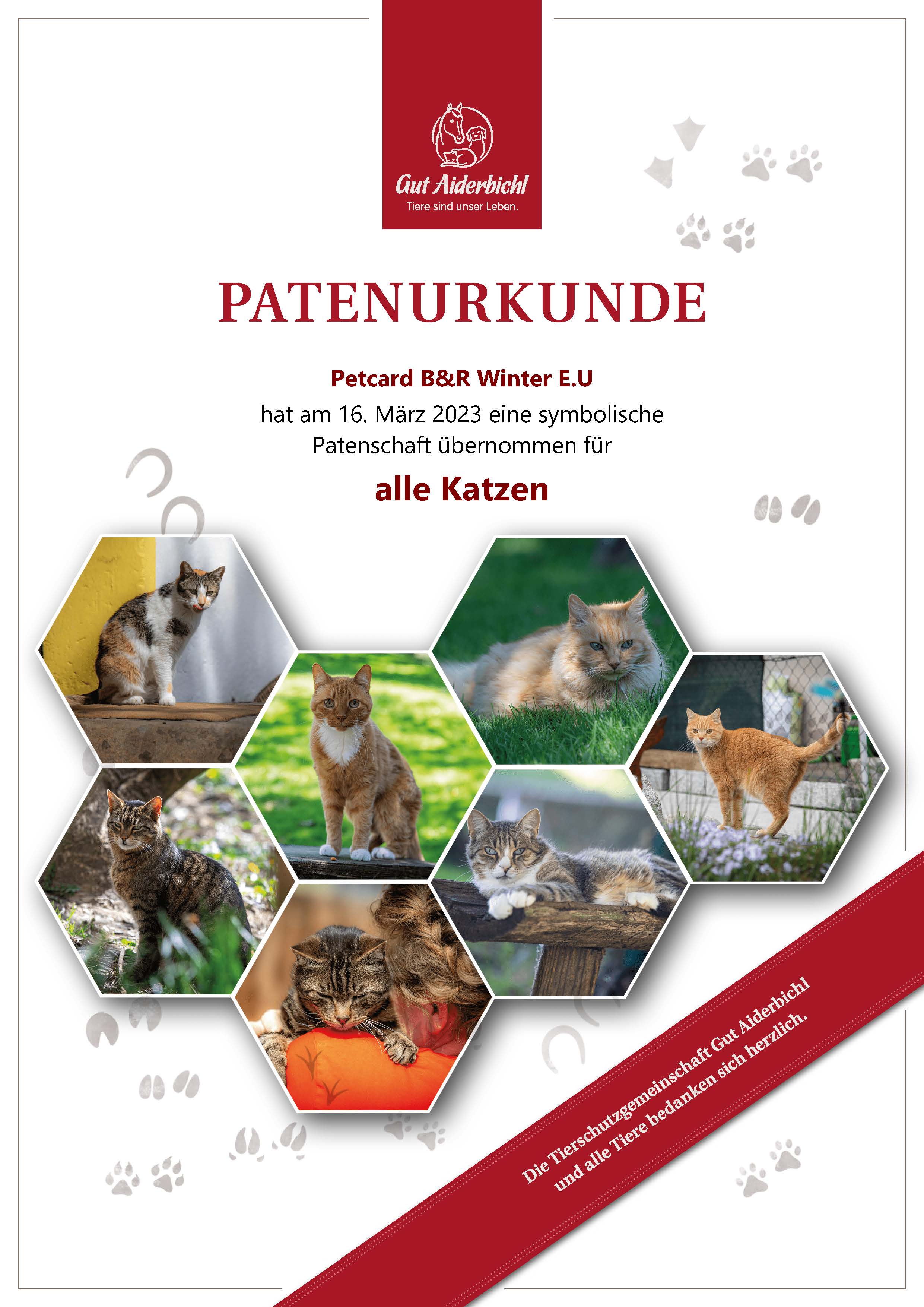 PETCARD-PATENSCHAFT